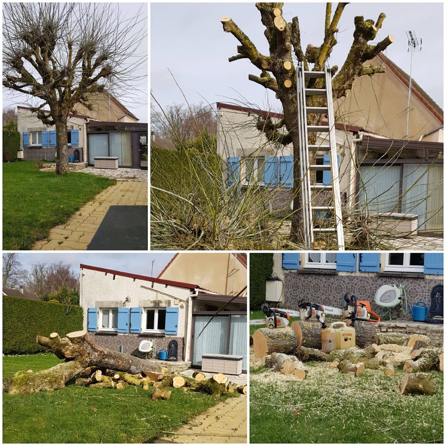 Taille arbre complet Gaillon 27600
