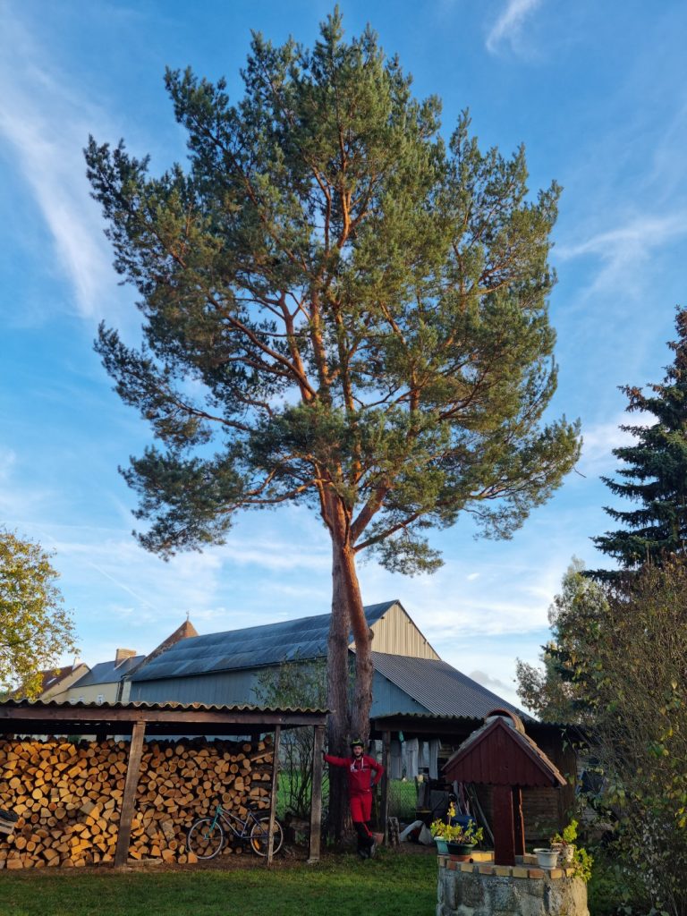 Élagage arbre Guichainville 27930